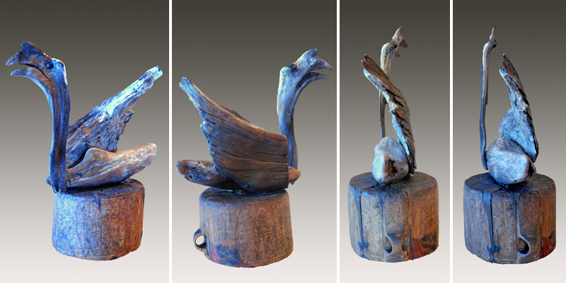 Ancient Bird/Anseriform